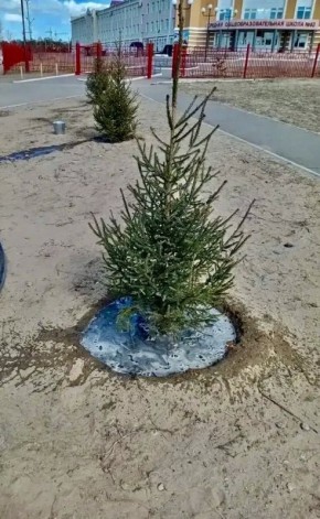 ����� ��������: � ������ �� ���������� ������ � ���� ���� � ��� ����� 40 ����������