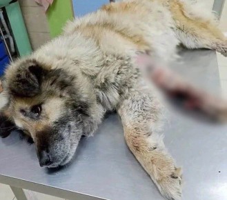 � ����-��� ������� ������ � ����� ������ �������