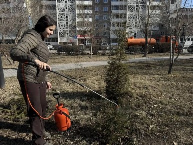 ����� ��������: � ������ �� ���������� ������ � ���� ���� � ��� ����� 40 ����������