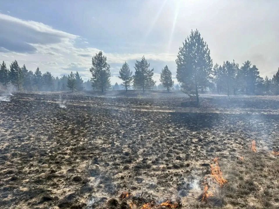 46 ������� � 6 ������ ������� ����� ������ ����� � ������ �������