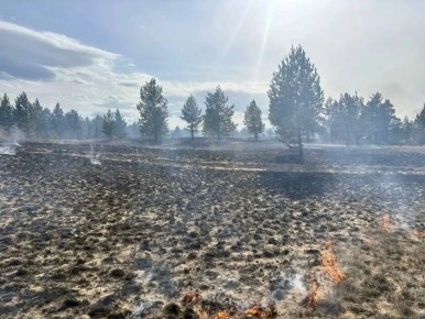 46 ������� � 6 ������ ������� ����� ������ ����� � ������ �������