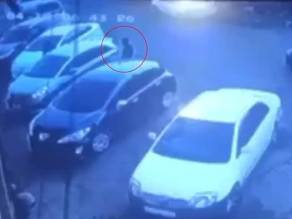 ������� ����� ������ ��������, ���� ��� �������� ���� �������