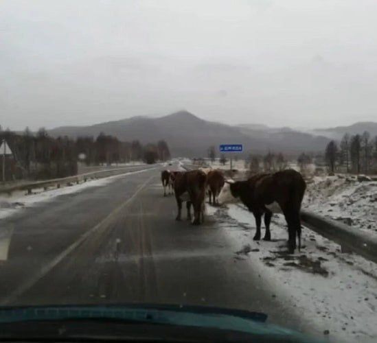 ������ ��������� ������� ������� �� ����� �� ����