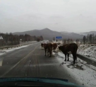 ������ ��������� ������� ������� �� ����� �� ����