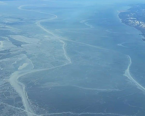 ���� �������� ��������� �����: ���������� ����� ����� ������ ���� ��� ������