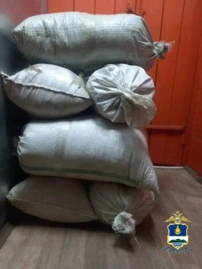 � ������� ��������� ������� � ����� � ���� � 8 ������� �������