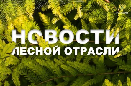 �������������: ���������: ����������� ������� ����� ���������������� ���� �������� ������ ��������