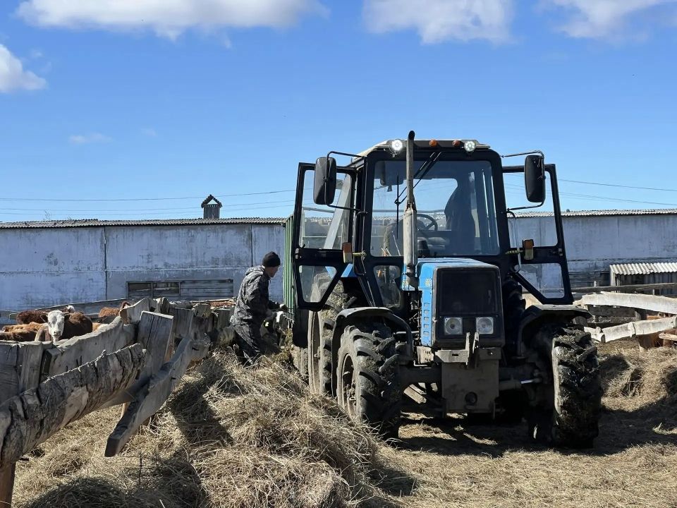 ��� �������� ����� �� ���������� ��������� � 2026 ����