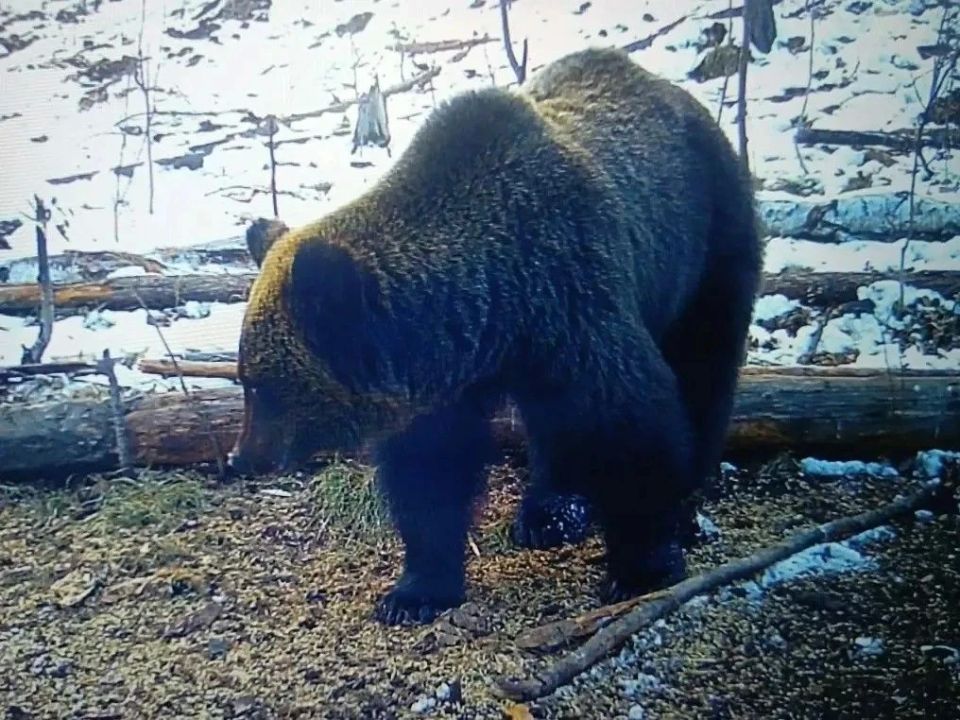 ��������� ����������� �� ������ ������