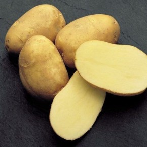 ��������� ���������: ������� ������ ������� ������ ������������ ��������