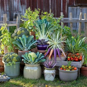 ������� �����������: 10 ������������ �������� ��� ������ �������