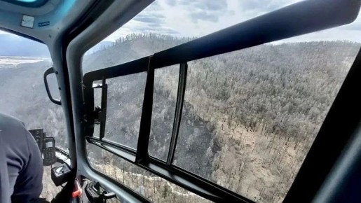 � ����������� ������ ���������� ������ ������ �����