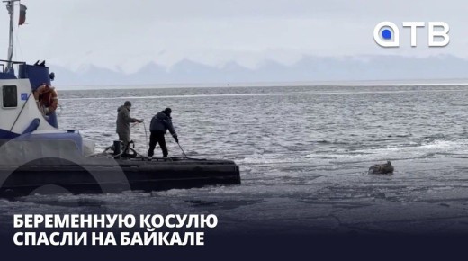 ���������� ������ ������ �� �������