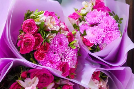 � ��� �� ���������� ������� ������� ����� ����������-��������� ������������ �� ������ ������� 2026 ����