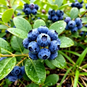 �������� � ����� ����: ������� ������� ������� � �������� ������