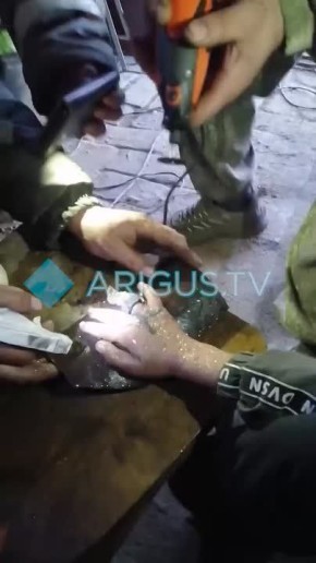 �������� ������ ����� ������� � ������������ ������