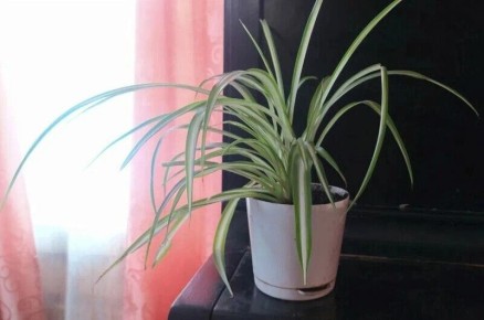 ������ � ����������� ������ ������ � ������?