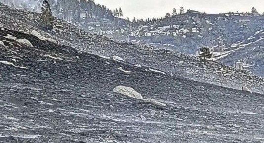 ������������ ��������� � ����� ����� �������� ���� ������ �������