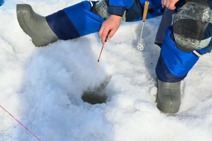 �� ������� �������� ��� ������ � ��������