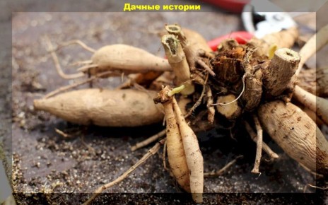 ��� ��������� ���������� ������ ��������� ��� ������� ��������