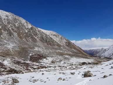 ���� ��������: � ������� �������� ������ ��������� ������-������