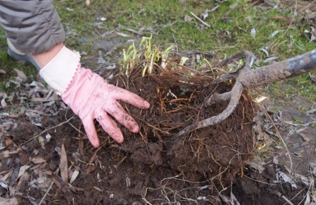 ����� ������������ ����� ������ ������, � ����� ����� ��������