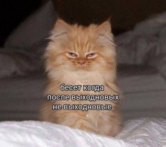 ������ ����! ������������� �� ����� ������� ������)