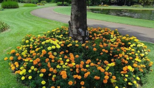 ��� ������� ���������� �������: ������ �������� ��� ������ ����