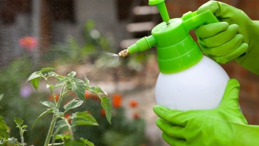 ������������ ������ ������: ��� �������� ������� ������ ������� �������