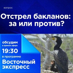 ������� ��������: �� ��� ������?