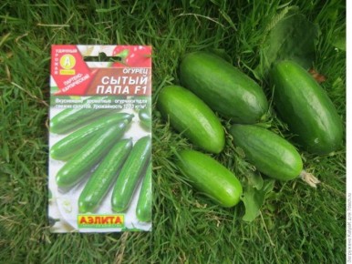 ����� ����: ��������� ������ ��� ������ ������