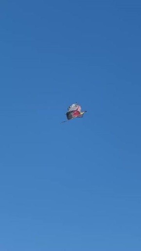 ������, ��������� ������� � ������� �� ���������-����������� ����� � ��� � ����-���, �� ����������� �������