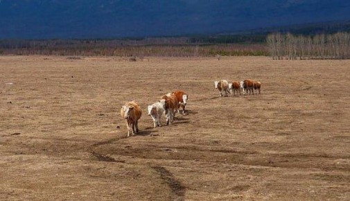 ������ ������� ���������� ����������� �� ������ �� ������