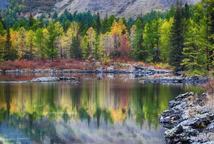 � ����-��� ��� �������� ��� �������� ����� ���������� ���� � ������� ������� 30 ��� �� ����