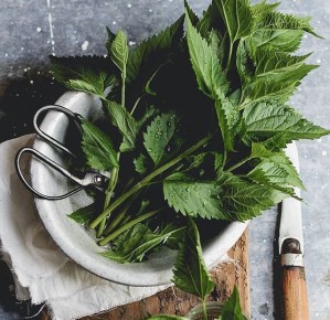 ��� ������� �������� ���� ������ � ������������� ����� ����������