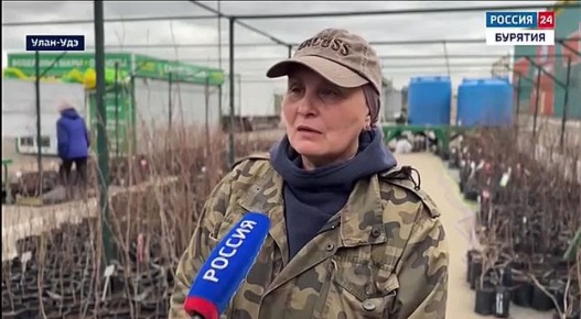 � ����-��� �������� �������� ������� ��������������� �������������� �������� 03�