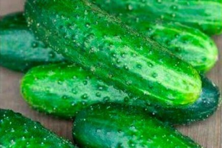 ������ ����� �����: ������� ��������� �����������