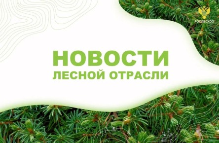 ����: �� �������� �������� ������ � ���� ������ ������ ������