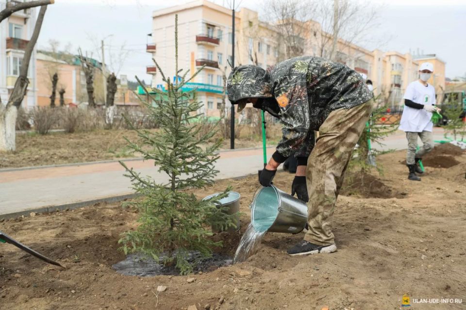 Память, которая множится: присоединяйтесь к акции «Сад памяти» Память, которая множится: присоединяйтесь к акции «Сад памяти»