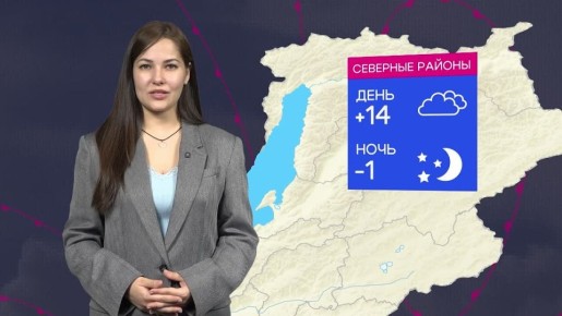 �� ������ ���� � ����� | ������ � ������� �� 11 ���