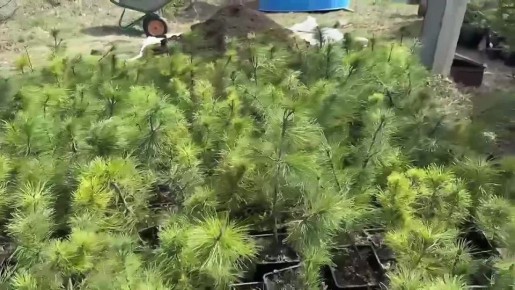 � ��������� ����-��� �������� 360 �������� �����