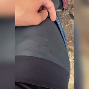 ��������� �������� 16 ������ �� ������ �����-�����