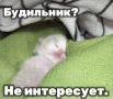 ������ ����! ��������� ������� ������)