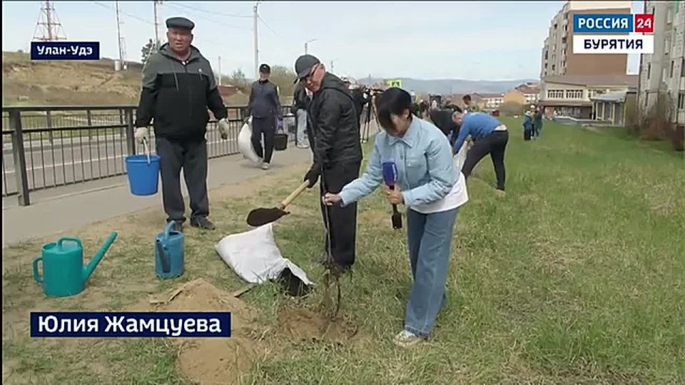 В Улан-Удэ создали Аллею памяти участников специальной военной операции
