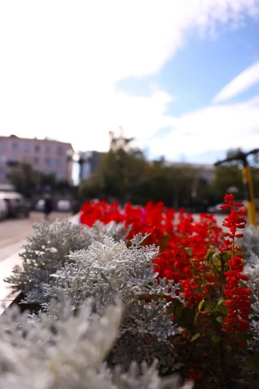 К 6 июня Улан-Удэ украсят цветами ко Дню города К 6 июня Улан-Удэ украсят цветами ко Дню города