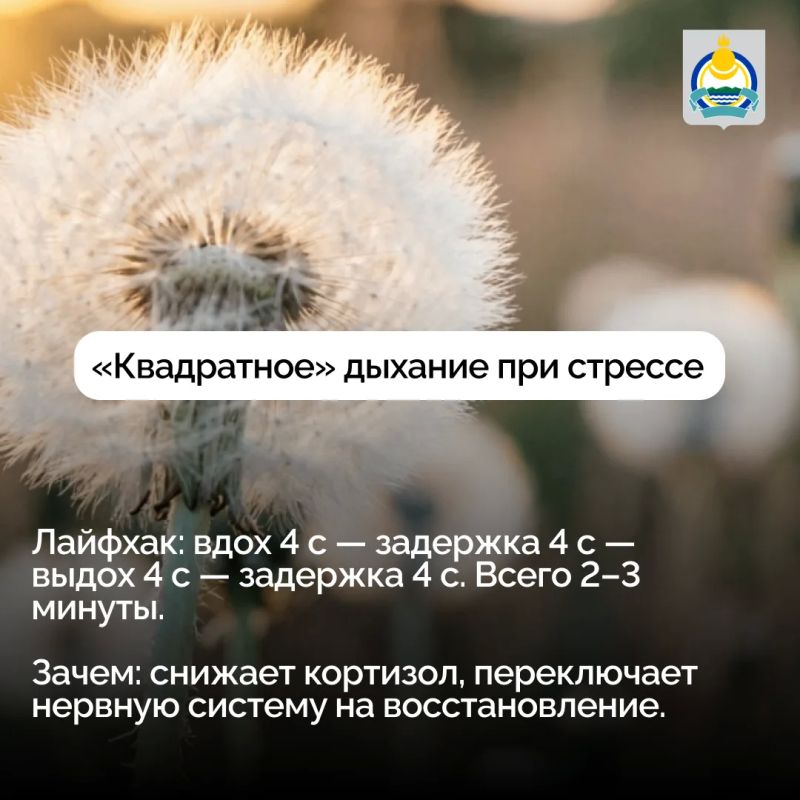 5 действий, которые замедляют биологическое старение 5 действий, которые замедляют биологическое старение