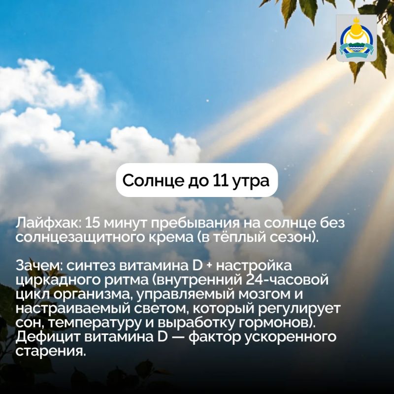 5 действий, которые замедляют биологическое старение 5 действий, которые замедляют биологическое старение