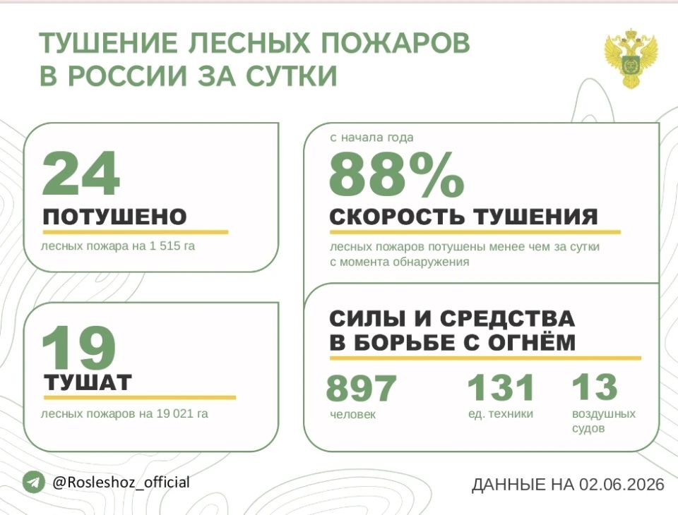 За прошедшие сутки в 14 регионах России потушили 24 лесных пожара