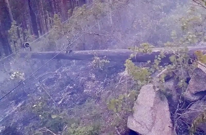 В Бурятии лесники тушат пожар, возникший из-за обрыва ЛЭП