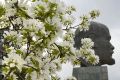 ������ ������ ����� ������� ������ ����� ���� ����� ������